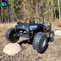 Какой детский электромобиль выбрать для дачи и сельской местности?