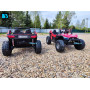 Детский электромобиль Buggy A707АА красный Spider 4WD