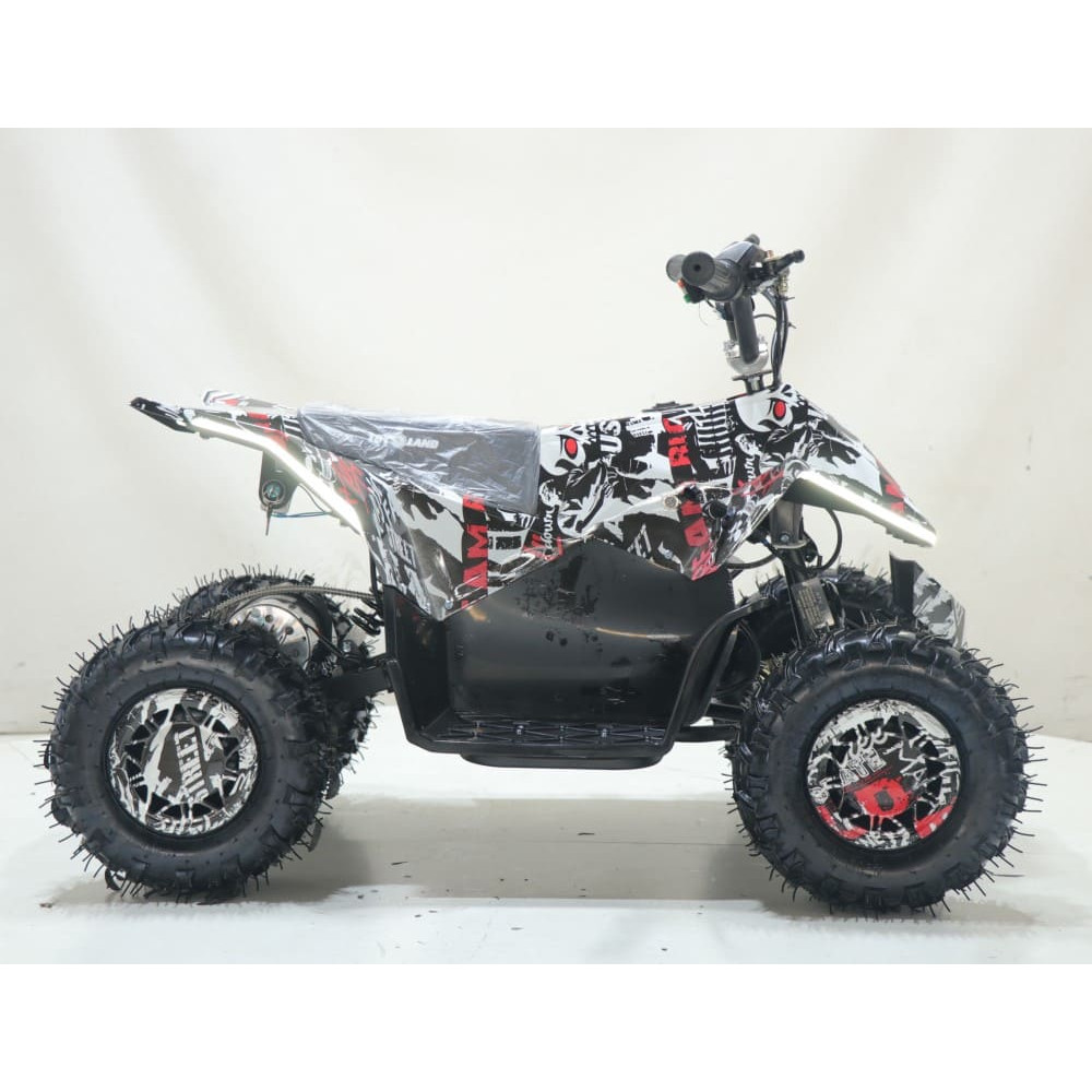 Квадроцикл ATV-2E 36V1000W Мульти черный