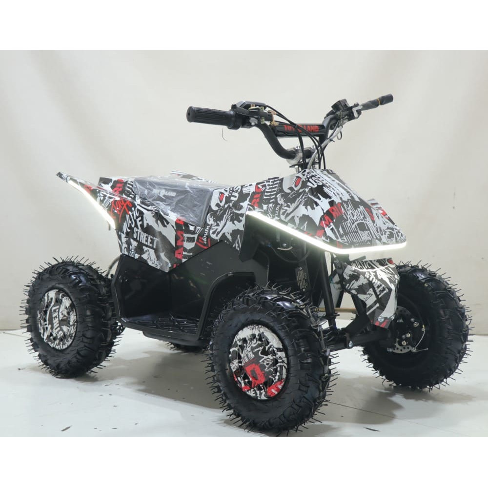 Квадроцикл ATV-2E 36V1000W Мульти черный
