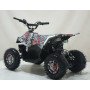 Квадроцикл ATV-2E 36V1000W Мульти черный