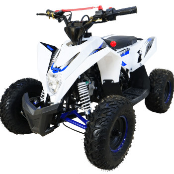 Детский квадроцикл Motax GEKKON 90cc, синий
