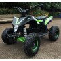 Детский квадроцикл Motax GEKKON 1300W, черно-зеленый
