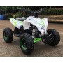 Детский квадроцикл Motax GEKKON 1300W, бело-зеленый