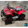 Скоростной электроквадроцикл TIKI красный Spider