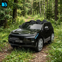 Детский Lixiang L9 YEH9315ЧЗ Черный краска