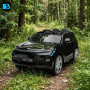 Детский Lixiang L9 YEH9315ЧЗ Черный краска