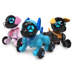 Собаки и кошки Собаки и кошки
