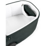 Коляска для новорожденных 2 в 1 Peg Perego Veloce TC Belvedere Metal New