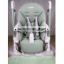 Стульчик для кормления Peg Perego Prima Pappa Follow Me Mint