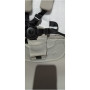 Коляска для путешествий Peg Perego Volo Misty Beige