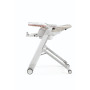 Стульчик для кормления Peg Perego Siesta Follow Me Aquarelle