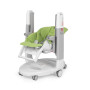 Стульчик для кормления Peg-Perego Tatamia Follow Me Wonder Green