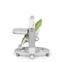 Стульчик для кормления Peg-Perego Tatamia Follow Me Wonder Green