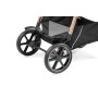Коляска для новорожденных 2 в 1 Peg Perego Veloce TC Belvedere Mon Amour