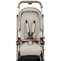 Прогулочная коляска  Peg-Perego Vivace Astral New