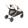 Детская коляска 2 в 1 Peg Perego Vivace  Mon Amour