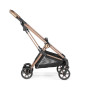 Детская коляска 2 в 1 Peg Perego Vivace  Mon Amour