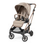Детская коляска 2 в 1 Peg Perego Vivace  Mon Amour