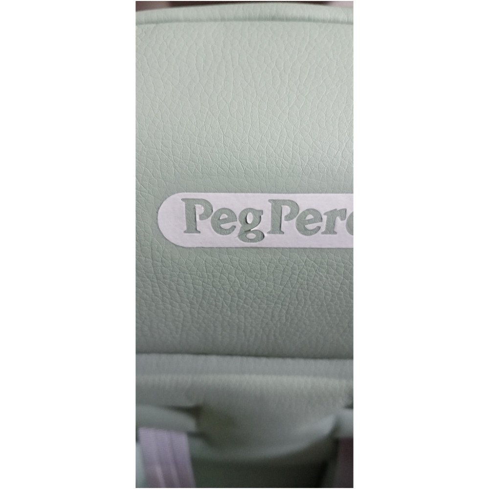 Стульчик для кормления Peg Perego Tatamia Follow Me Sage
