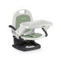 Стульчик для кормления Peg Perego Rialto Mint