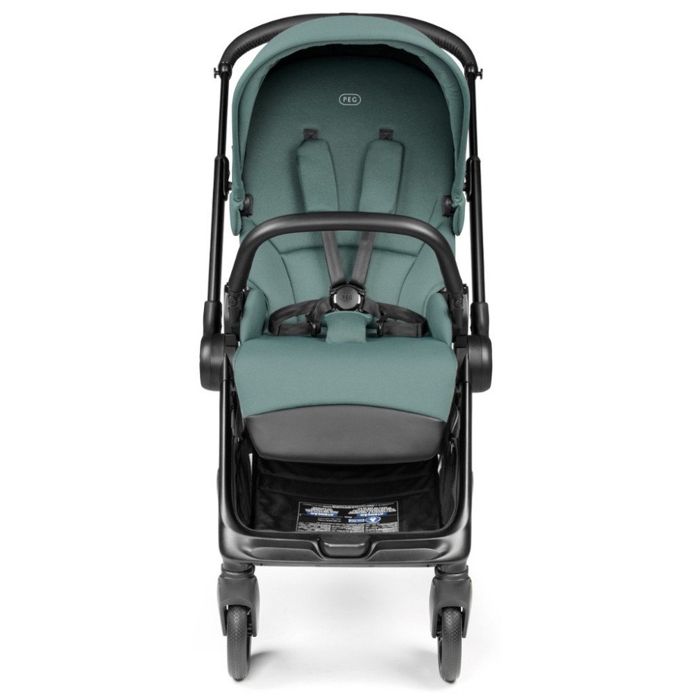 Коляска 2 в 1 Switch Flex Jade