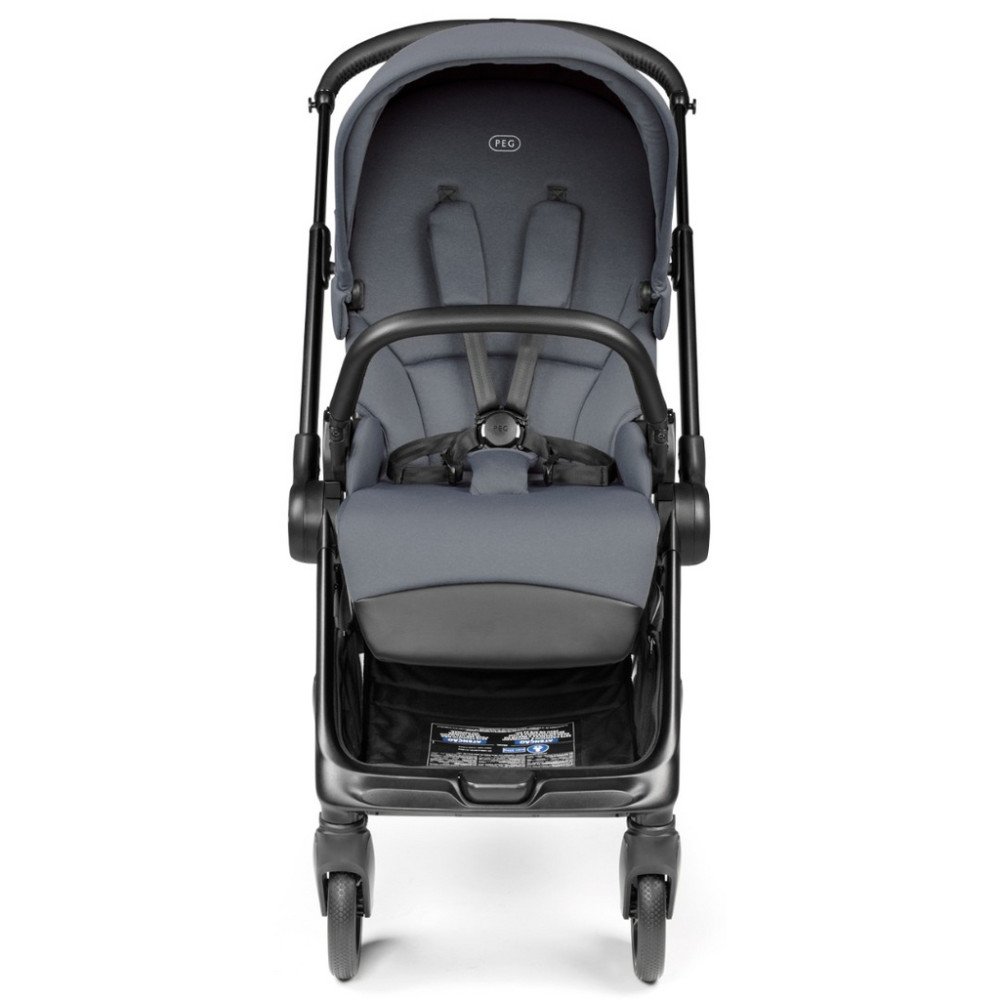 Коляска 2 в 1 Switch Flex Nordic Blue