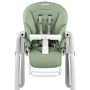 Стульчик для кормления Peg Perego Tatamia Follow Me Sage