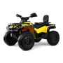 Детский электроквадроцикл BRP Can-Am Outlander (Y888YY) желтый, двухместный