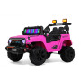 Детский электромобиль М101БХ розовый (RiverToys)