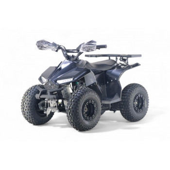 Бензиновый квадроцикл LEON 49CC карбон