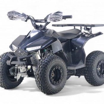 Бензиновый квадроцикл LEON 49CC карбон