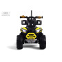 Детский электромобиль F003FF желтый (RiverToys)