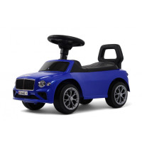 Детский толокар Z004ZZ-T синий (RiverToys)