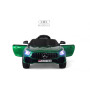 Детский электромобиль Мерседес-Бенц AMG GT X777XX зеленый глянец