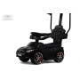 Детский толокар Z005ZZ-MP черный (RiverToys)