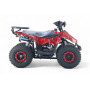 Квадроцикл LEON 49CC красный спайдер, бензиновый, детский