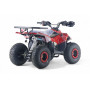 Квадроцикл LEON 49CC красный спайдер, бензиновый, детский