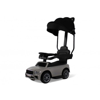 Пушкар Bentley Z005ZZ-T серый