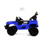 Детский электромобиль М101БХ синий (RiverToys)