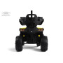 Детский электромобиль F003FF желтый (RiverToys)