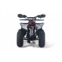 Бензиновый квадроцикл LEON 49CC карбон