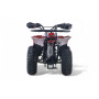 Квадроцикл LEON 49CC красный спайдер, бензиновый, детский