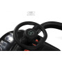 Детский толокар Z005ZZ-MP черный (RiverToys)