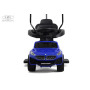 Детский толокар Z005ZZ-BP синий (RiverToys)