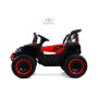 Детский электромобиль М303БХ красный (RiverToys)