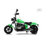 Детский электромотоцикл BMW R18 (A777AA-NEW) зеленый  (RiverToys)