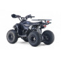 Бензиновый квадроцикл LEON 49CC карбон