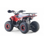 Квадроцикл LEON 49CC красный спайдер, бензиновый, детский