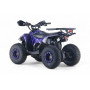 Детский квадроцикл LEON 49CC синий спайдер, скорость 20 км/ч, бензиновый